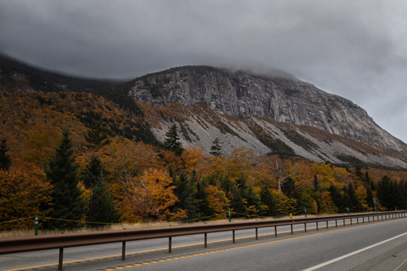 Granite Dog Systems<br>